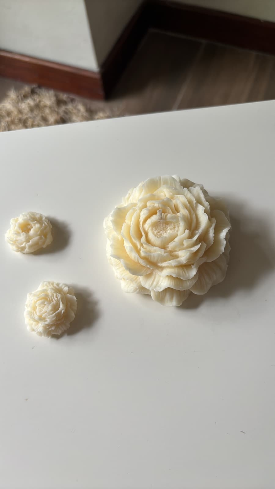 Vela Peony